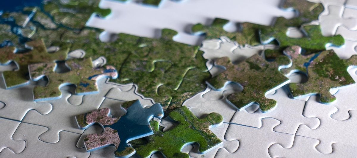 De puzzle van 2020