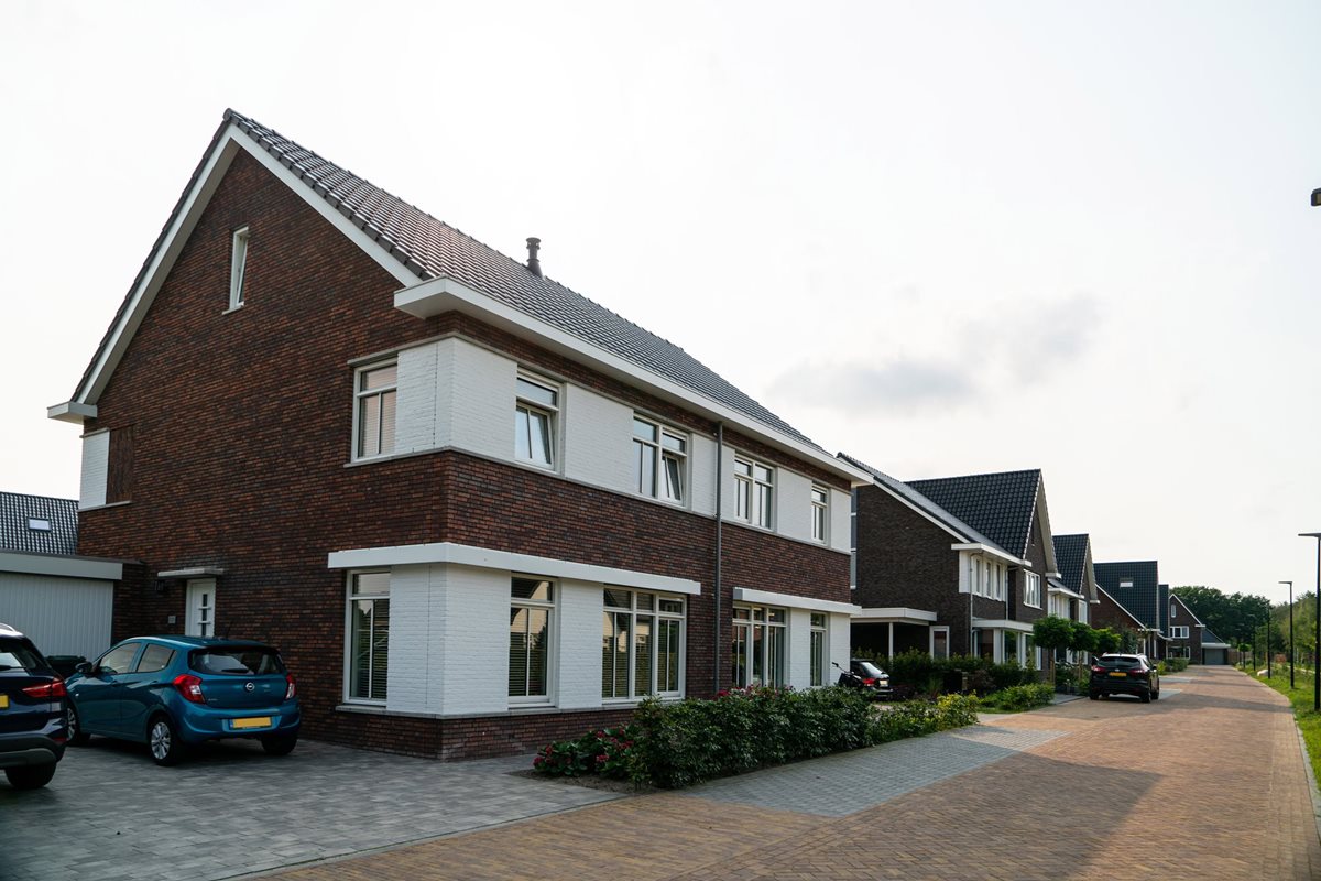 Daken en dakkapellen in Loenen