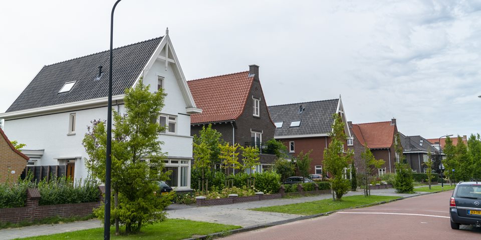 Emergo daken in Wateringse Veld