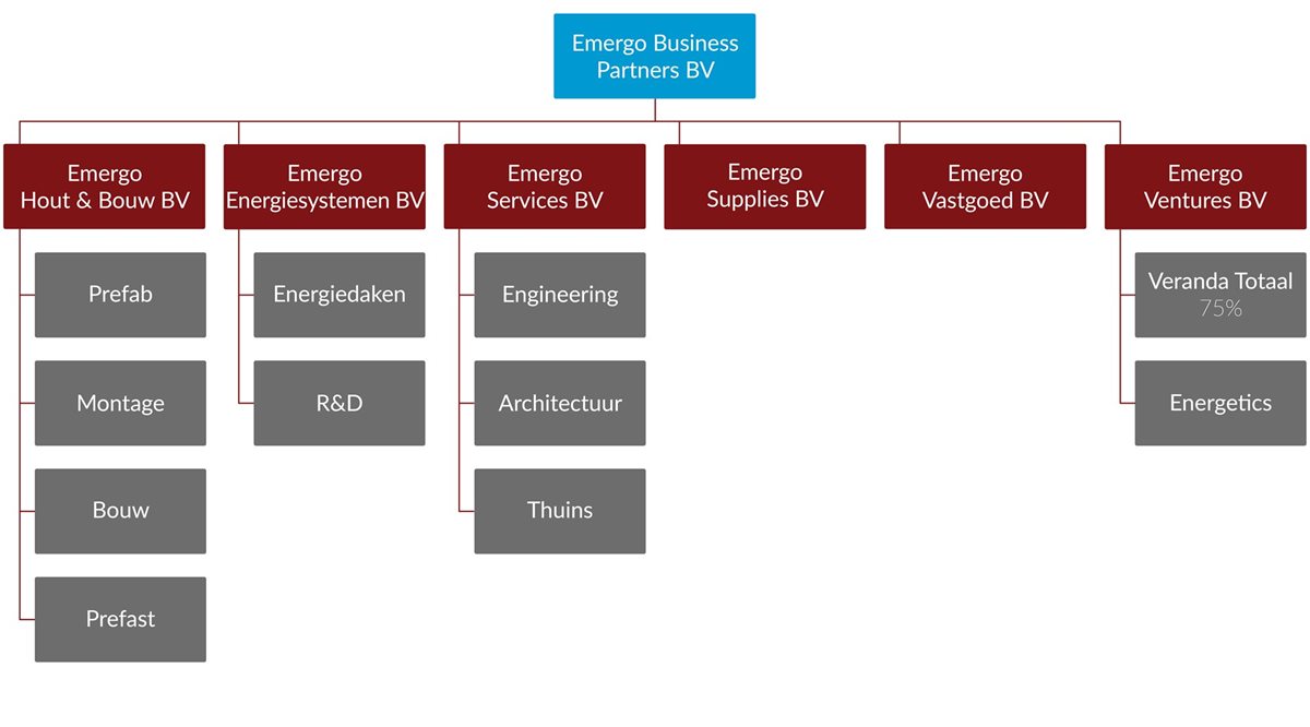 Organogram Emergo Business Partners