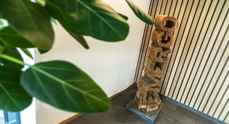 Start & ontwikkeling